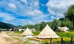 古楼子乡：产业联合党委点燃乡村振兴“新引擎”