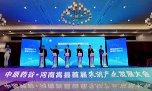 河南嵩县首届柴胡产业发展大会举行