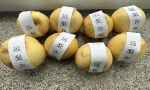 哈达门边境派出所采用新型宣传方式让辖区群众远“梨”诈骗