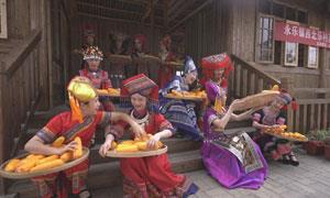 西北乐村：“四力”驱动探索乡村治理新模式