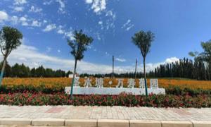 大临河乡：谋产业振兴 赢百姓口碑