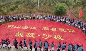 嵩县沙坡村：趣味研学探索乡村振兴新路径