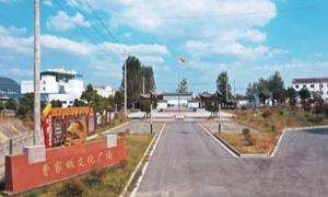 红安县曹家畈村:把决策的“C位”交给村民