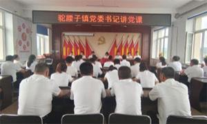 驼腰子镇：建强基层组织 推动乡村振兴