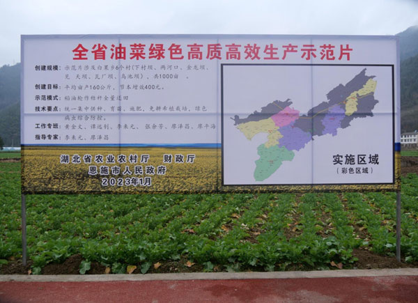 keji2.jpg