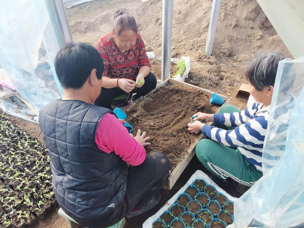 wangjiang3.jpg