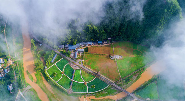luoyang5.jpg