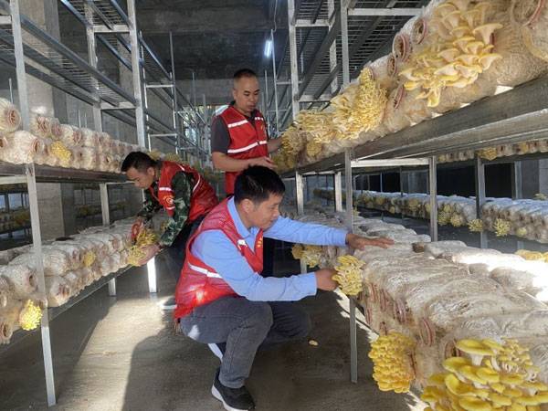 guangxi4.jpg