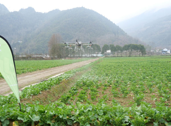 keji1.jpg