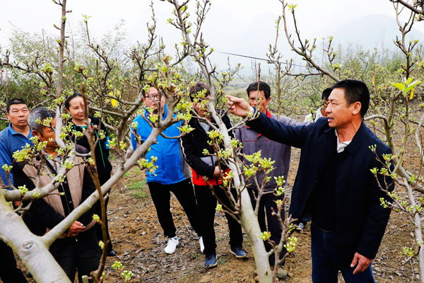 qishan3.jpg