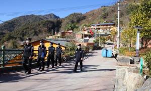 峡谷深处的“背包客”