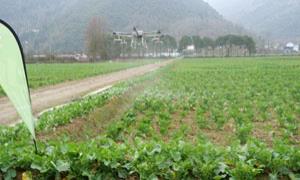 科技助农，植保无人机助力春耕春管