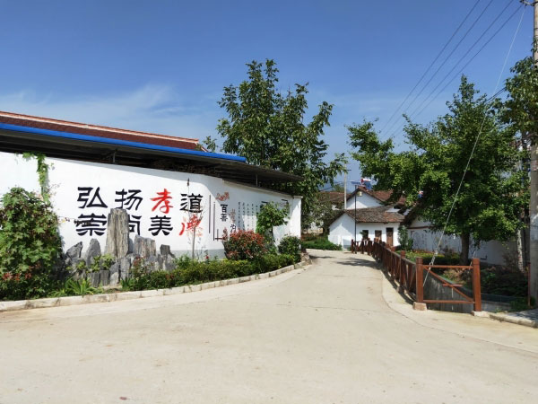 zongying2.jpg