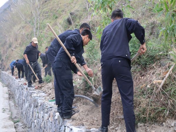 警民携手添新绿 (2).jpg