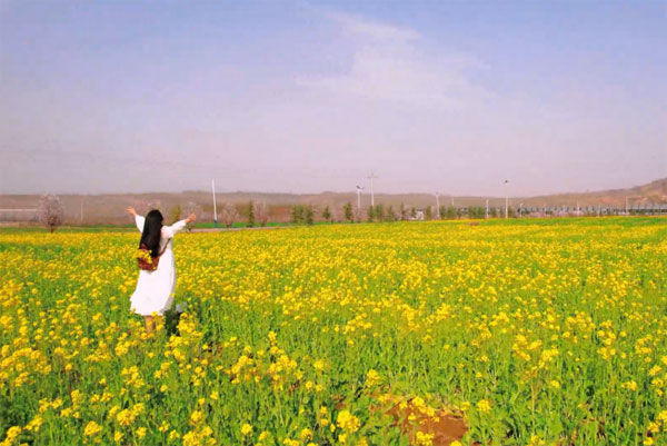 dongbao1.jpg