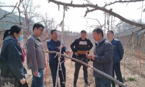 九三学社焦作市农林水支社开展春季科技服务