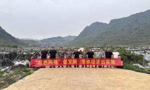 红色网格促发展 集体经济出实效