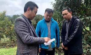 湾田村：一村三书记 共促产业兴