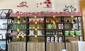 吉林梅河口帽山村运用“小积分”兑出“大文明”