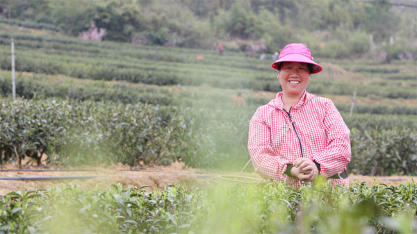 chuncha3.jpg