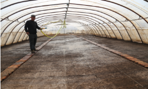 热情服务水稻户 助力育苗保春耕