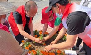 “党建+网格”吹响乡村振兴冲锋号