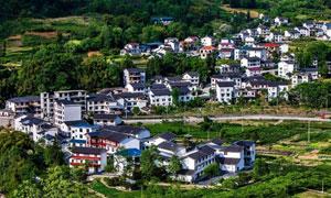 麂子渡村亲和小院：赓续红色文化 缔造文明乡风