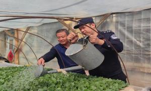 夏瓜不语香满地 春苗难忘警民情