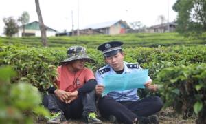 五一茶园好“警”色 全力助农守茶香