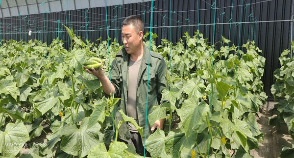 shier2.jpg shier2.jpg