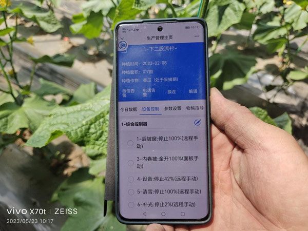 shier1.jpg shier1.jpg