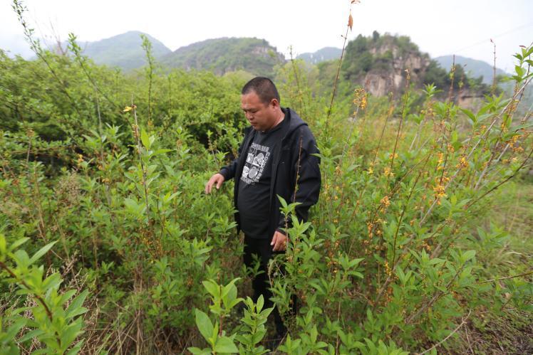 hhong4.jpeg hhong4.jpeg