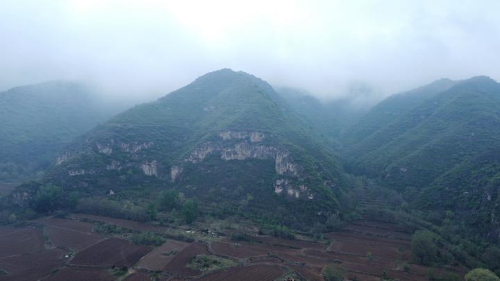 hong2.jpeg hong2.jpeg