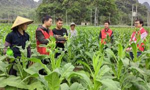 三荷村驻村工作队：用心用情站好最后一班岗