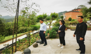 立足群众“小切口” 赢得群众“大满意”