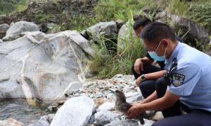 守护生物多样 共享美丽边境