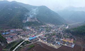 红崖底村：野生中药材“铺就”致富路