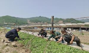 山青水秀同心守护 生态大局协力共建