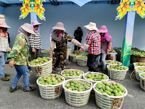 guangxi3.jpg