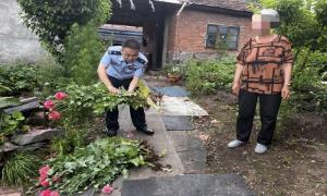 禁种铲毒常态化  禁毒宣传进万家