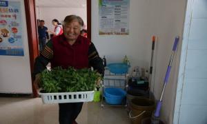 “买菜”背后的故事