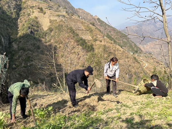 农忙时节，民警深入田间地头.jpg