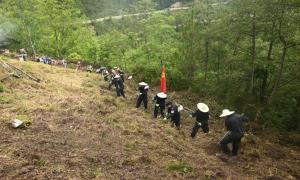 振兴乡村“警”相助 田间地头助“农”忙