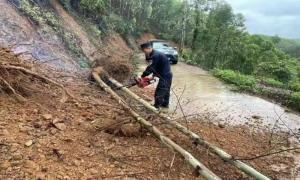 狂风暴雨中大树轰然倒塌 边境民警快速反应清理路障
