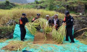 扬帆起航，谱写民族团结进步新篇章