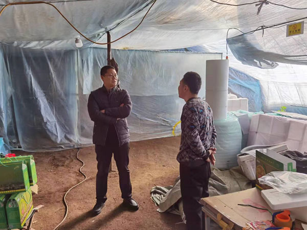 shang3.jpg