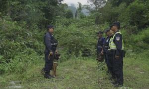 缤纷秋色美不胜收 “秋警”怡人暖心如故