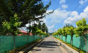 亮甸子村：五色融合促振兴 乡村蝶变展新颜