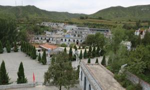 大西庄村：抓党建留住红色记忆 促产业助力乡村振兴