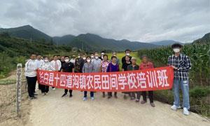 水稻种植技术培训 ，十四道沟镇“田间课堂”开课了